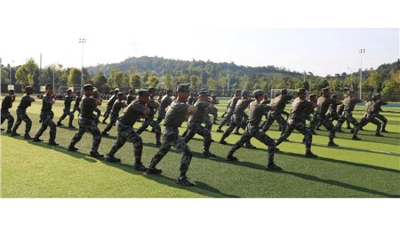 璀璨終章，榮耀綻放丨軍訓(xùn)系列報(bào)道（五）